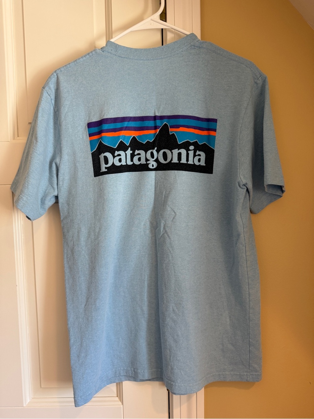 Patagonia Men’s Light Blue Logo T-Shirt - Small